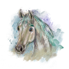 horse