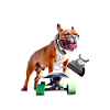 Mon bouledogue m'appelle