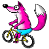 Fox with MTB Pink