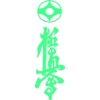 Kyokushin Karaté Kanji vert