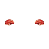 Steak Lover Steak Gift