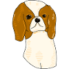graphic dog design
