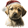Baby Christmas Labrador