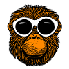Monkey with sunglasses