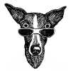 Stunned dog