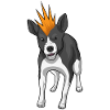 Bad dog
