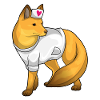 Fuchs Nurse Heart
