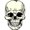 Skull skull
