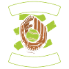 Softball Catcher