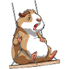 Meerschweinchen Schaukelt