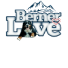 Bernese mountain dog