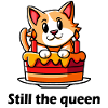 Birthday cat