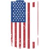Sport Us Flag Lacrosse