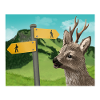 Deer on stamp