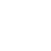 The electric car