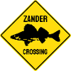 ZANDER CROSSING - Anglergeschenk - Fishing