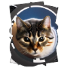 Space cat
