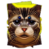 Cat face