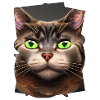 Yeux de chat
