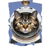 Space Cat 1
