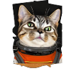 Weltraum Katze 3