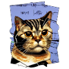 Yeux de chat