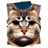 Visage de chat