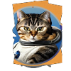 Space Cat