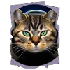 Space Cat 2