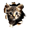 Cat Motif Art Cat Design Domestic Cat Meow Cat