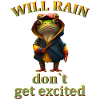 Rain Frog Weather Frog