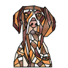 German Pointer