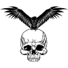 Skull with crow