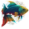 Bunte Fische