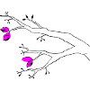 Knospen