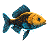 Fantasy Fish