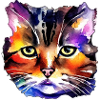 Cat face 5