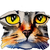 Katzengesicht 2