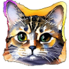 Cat Face 4