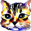 Cat Face 4