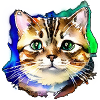 Cat Face 3