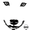 WOLF EYES