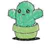 Kaktus Knuddelkumpel
