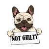 funny dog- Funny Dogs - Shirt