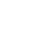 USA Flag X