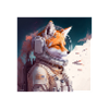 Espace astronaute Spacefox Fox