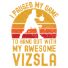 Basketball et Vizsla