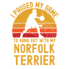 Basketball and Norfolk Terrier