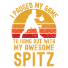 Basketball and Spitz