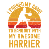 Basketball and Harrier